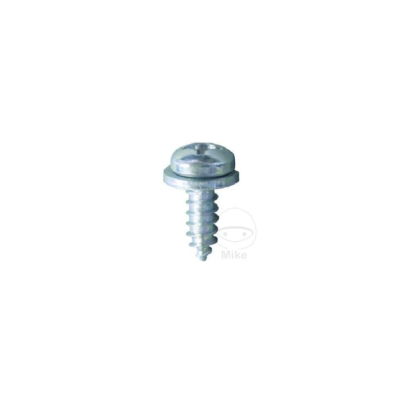 JMP Pack 10 screws for license plate 5.5 481.05.64VAR