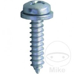 JMP Pack 10 screws for license plate 5.5 481.05.64VAR