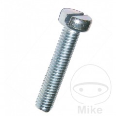 DRESSELHAUS Pack 100 cylindrical head screws M6X20 MM 84 482.03.38