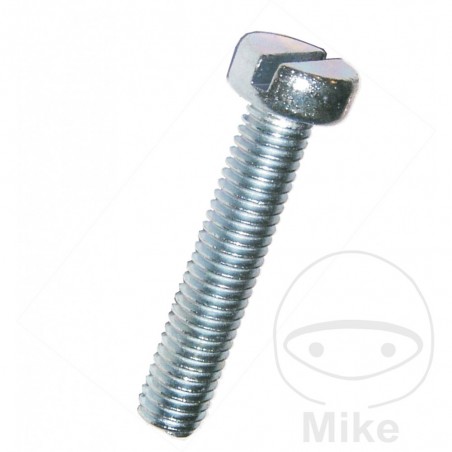 DRESSELHAUS Pack 100 cylindrical head screws M6X20 MM 84 482.03.38