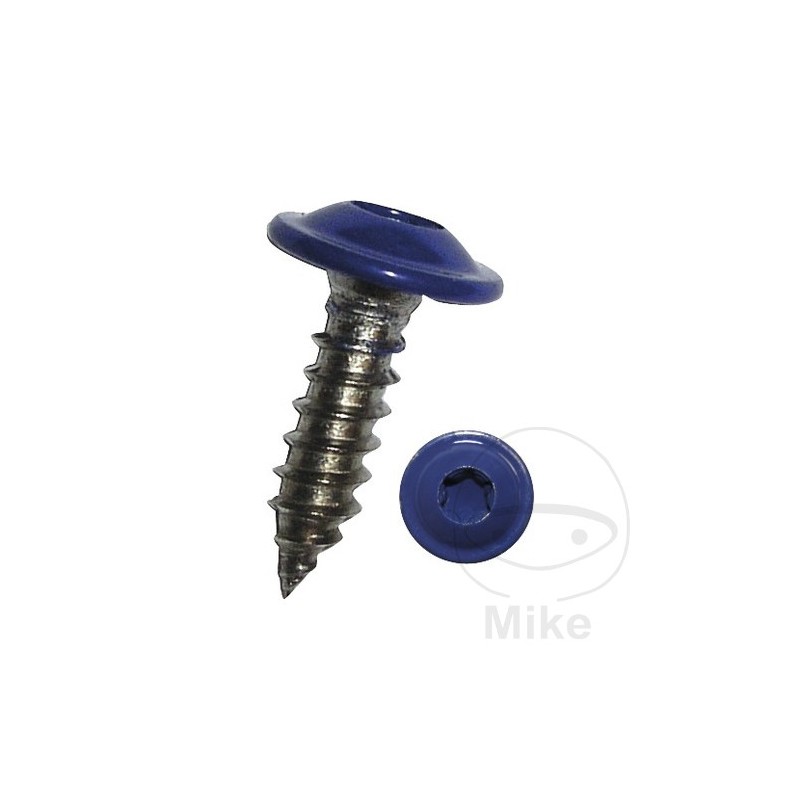 DRESSELHAUS Sheet metal screw with collar 4.8 I-STERN V2A RAL5002 484.00.23VAR