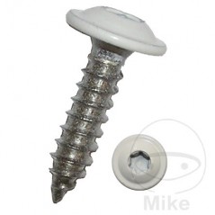 DRESSELHAUS Tornillo de chapa con collar 4.8 I-STERN V2A RAL9010 484.00.24VAR