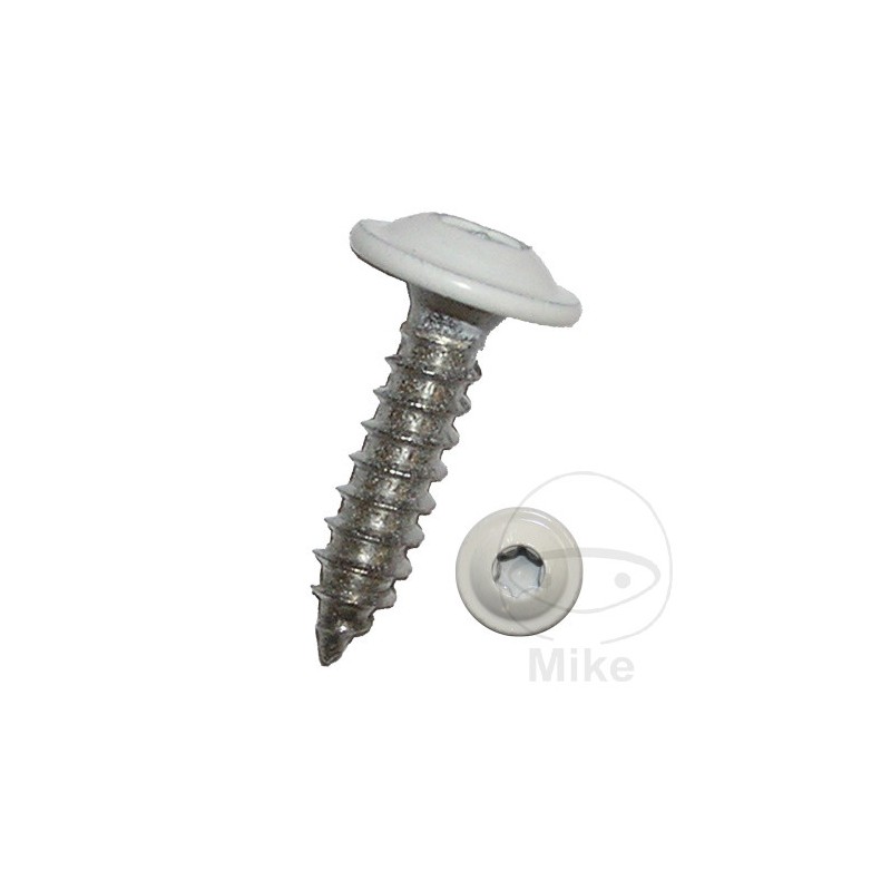 DRESSELHAUS Sheet metal screw with collar 4.8 I-STERN V2A RAL9010 484.00.24VAR
