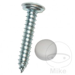 DRESSELHAUS Pack 100 screws for license plate 5.6X19 MM 484.20.84