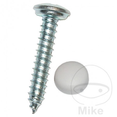 DRESSELHAUS Pack 100 tornillos para placa de matricula 5.6X19 MM 484.20.84