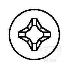 DRESSELHAUS Pack 100 tornillos para placa de matricula 5.6X19 MM 484.20.84