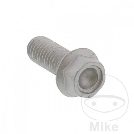 Tornillo hexagonal OEM M10X1.5 MM 25 717.02.53