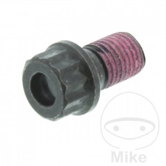 Tornillo de accionamiento del cardán M8X1.0 MM 20 717.18.59
