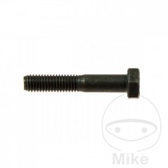 Tornillo M8X45 MM 756.02.78