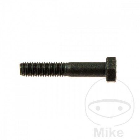 Screw M8X45 MM 756.02.78