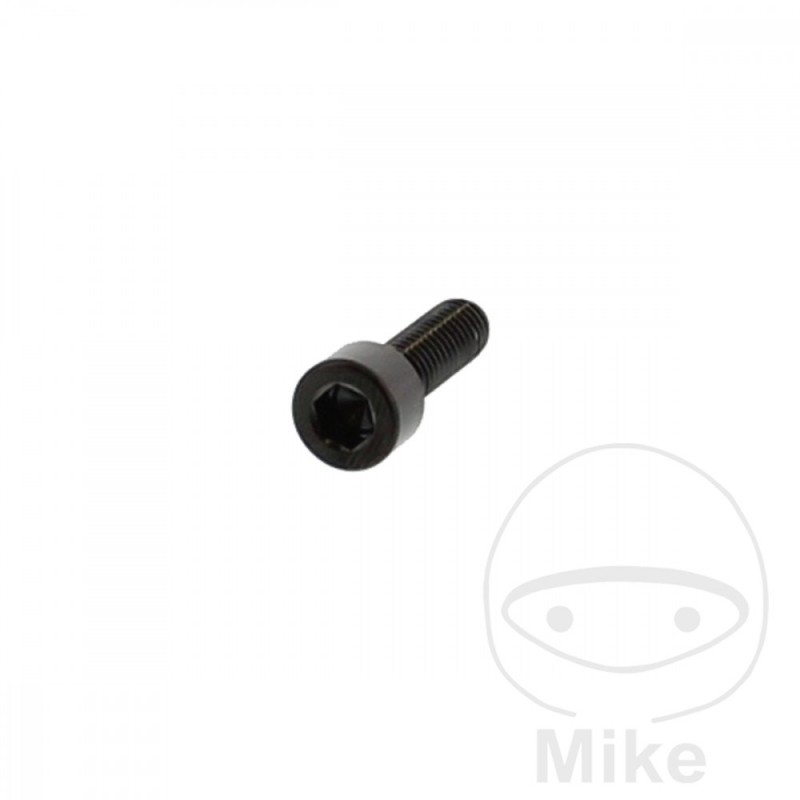 JMP Steel flat head cylindrical screw M6X1.00 MM V4A 775.32.36VAR