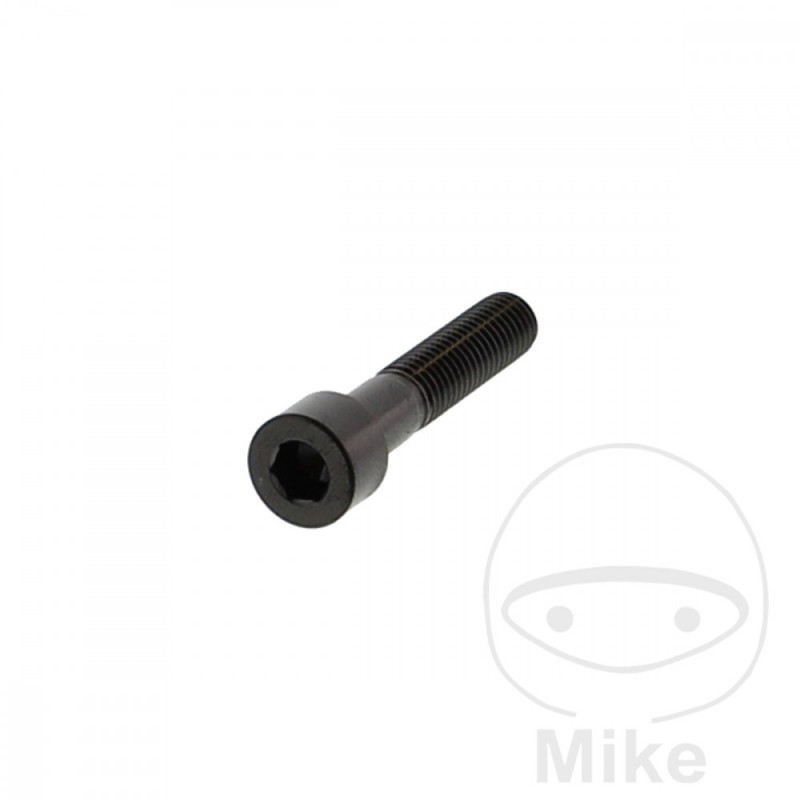 JMP Steel flat head cylindrical screw M8X1.25 MM V4A 775.41.59VAR