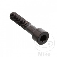 JMP Tornillo cilíndrico cabeza plana acero M8X1.25 MM V4A 775.41.59VAR