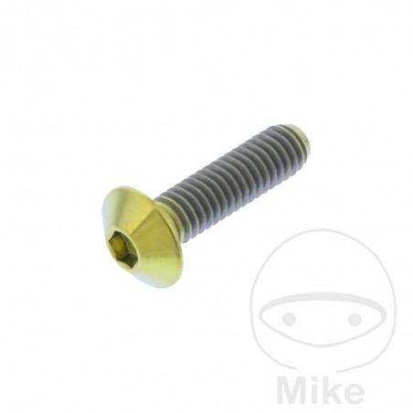 JMP pan head titanium screw M4X0.7 MM 775.51.69VAR
