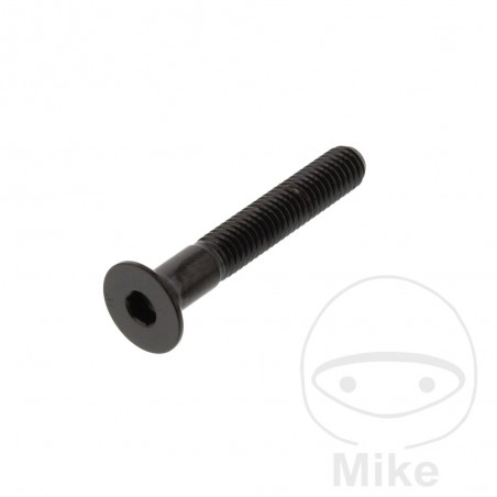 JMP Tornillo acero cabeza avellanada M6X1.00 MM V4A 775.84.67VAR