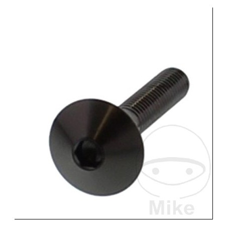 JMP pan head steel screw Ø16 MM M6X1.00 V4A 775.84.90VAR