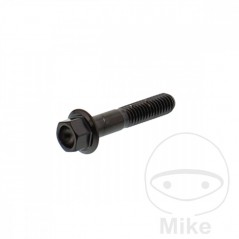 JMP Tornillo hexagonal acero M6X1.00 MM V4A 775.85.30VAR