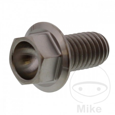 JMP titanium hex bolt M8X1.25 MM 775.87.25VAR