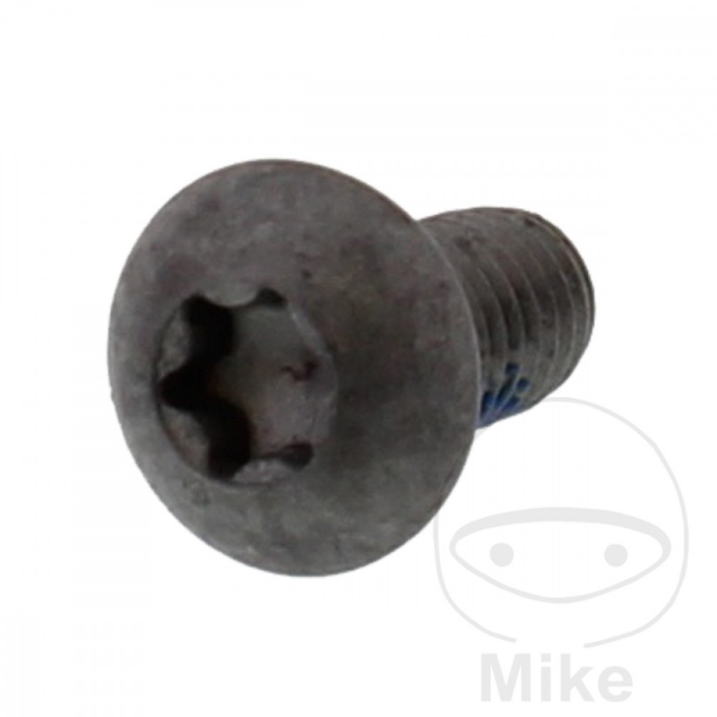 Tornillo abs sensor OEM M5X0.8 10 MM 717.02.01