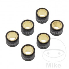 JMP Set of 6 variator rollers 5.0 G 15X12 MM 783.02.55