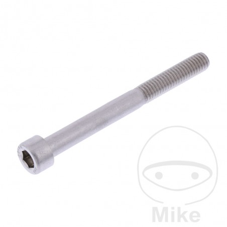JMP Stainless Steel Cylinder Screw M6X1.00 MM 775.18.15VAR