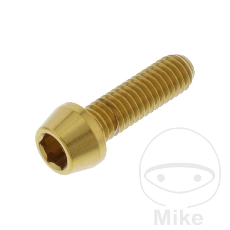 JMP Stainless steel conical screw M6X1.00 MM V4A 775.32.81VAR
