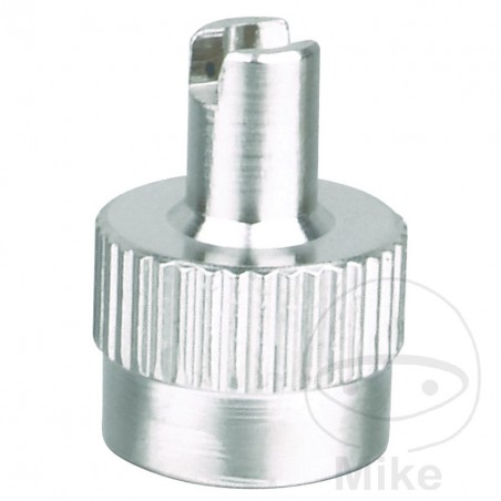 Set of 100 valve nuts with extractor 519.05.60