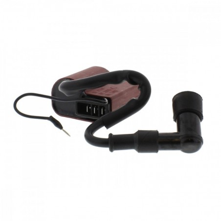 JMP electronic control unit CDI 700.09.06