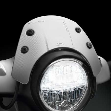 RIZOMA Windshield screen with mounting kit ZVP010