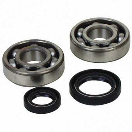 PROX Crankshaft bearings and seals 1017478