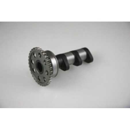 HOT CAMS Escape arból de levas STAGE 1 1018970