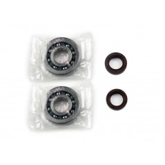 ATHENA KIT, BEARINGS AND SEALS FOR CRANKSHAFT 1014370