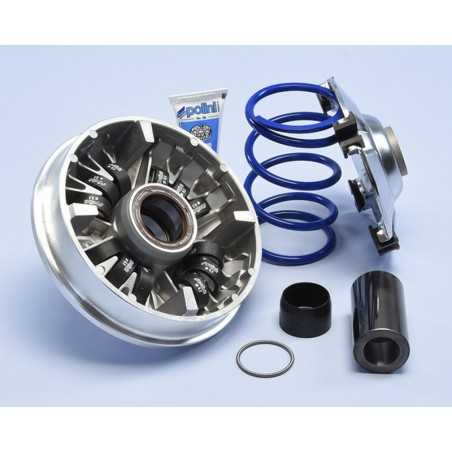 POLINI High speed variator with 12 rollers 1107213
