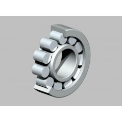 NTN SNR crankshaft bearing 30X72X19 MM 1016767