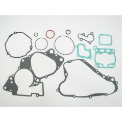 TECNIUM Juego completo juntas de motor 1015951