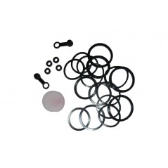 TECNIUM REPAIR KIT FRONT BRAKE CALIPER 1043859
