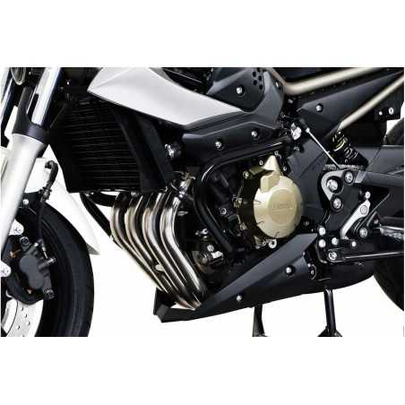 SW-MOTECH Engine side guards SBL0648010001/B