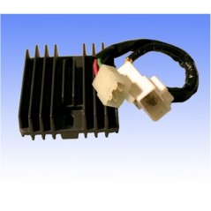 TOURMAX Regulador corriente eléctrica 1080090