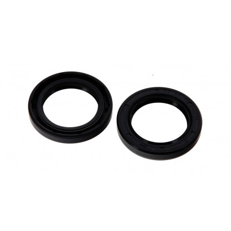 ART Gaskets for complete wheel 1049296