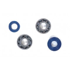 TOP PERFORMANCES KIT, BEARINGS AND SEALS FOR CRANKSHAFT 1018484