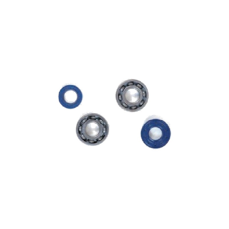 TOP PERFORMANCES KIT, BEARINGS AND SEALS FOR CRANKSHAFT 1018484