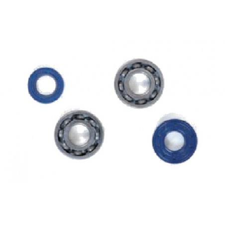 TOP PERFORMANCES KIT RODAMIENTOS Y RETENES DE CIGÜEÑAL 1018484