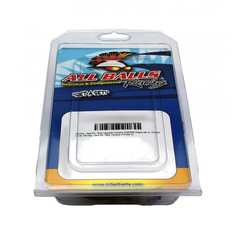 ALL BALLS Carburetor repair kit 1118273