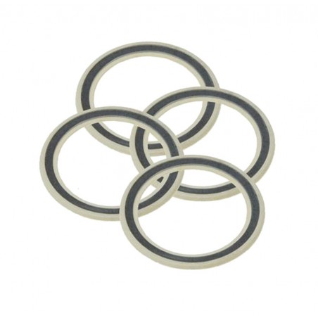 CAMPAGNOLO Kit guardapolvos rodamiento de ruedas 17 MM 4U 709219