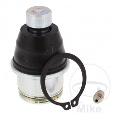 ALL BALLS Reinforced kneecap 42-1042-HP 765.04.39