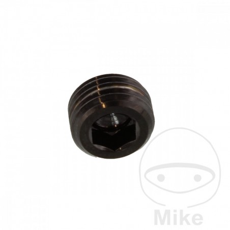 Stainless steel plug for brake pad pin X V4A 717.07.22