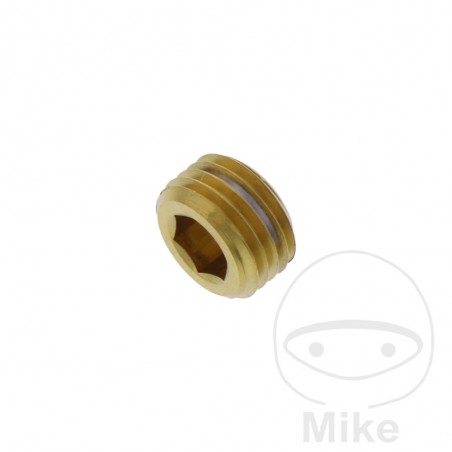 Tapón acero inoxidable para pasador pastilla de freno X V4A 775.40.69