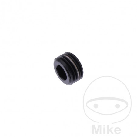 Tapón titanio para pasador pastilla de freno M10X1.00 MM 775.53.71