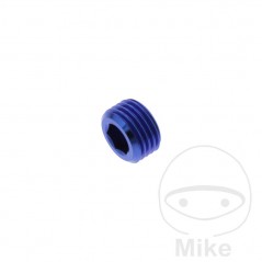 Titanium plug for brake pad pin M10X1.00 MM 775.62.07