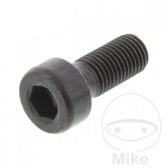 Cylindrical screw M8X1.00 MM 26 717.09.81